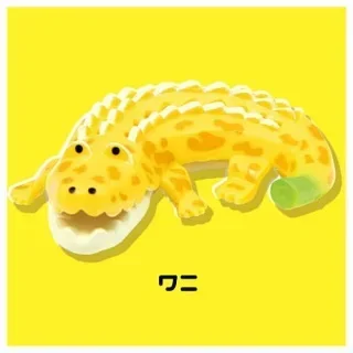 Crocodile