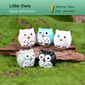 5pcs Little Owls