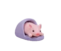Slipper and Pig