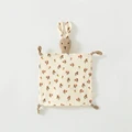 rabbit-5