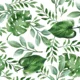 Leaf No. 1