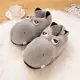 hippo