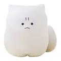 white cat