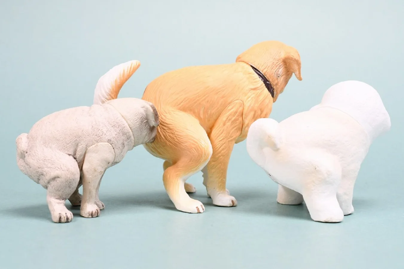 TakaraTomyArts cápsula juguetes kawaii divertido Funbari-nu 2 Bichon Frise Golden Retriever Pug Chihuahua perro excavador figuras de heces - imagen 3