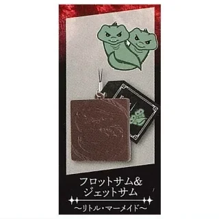 moray eels square