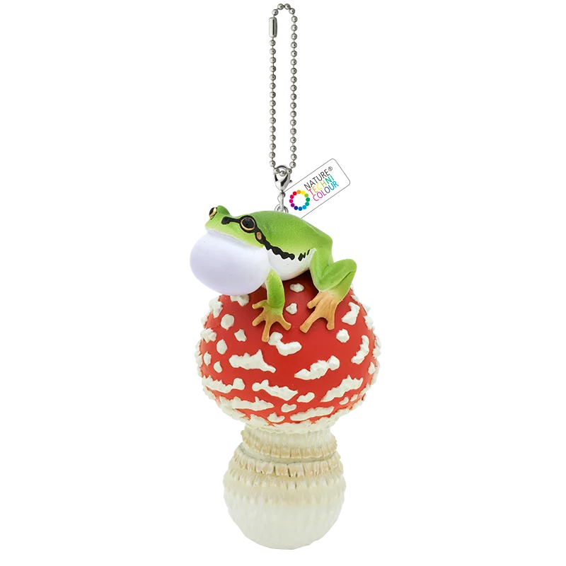 Fly Agaric BC