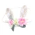 Rabbit ears