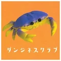 Dungeness crab