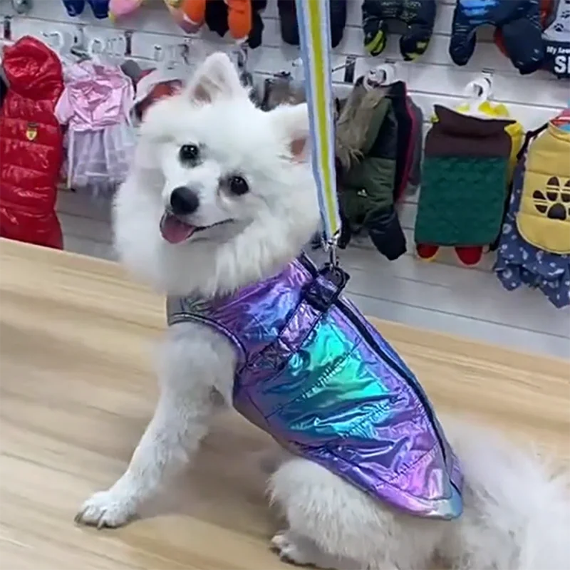Chaleco reflectante impermeable de color degradado con forro polar para el calor, ropa para mascotas con diseño reflectante para perros Bichon - imagen 3