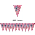 10pcs pennants