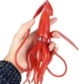 Big Squid