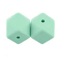 30pcs Mint green