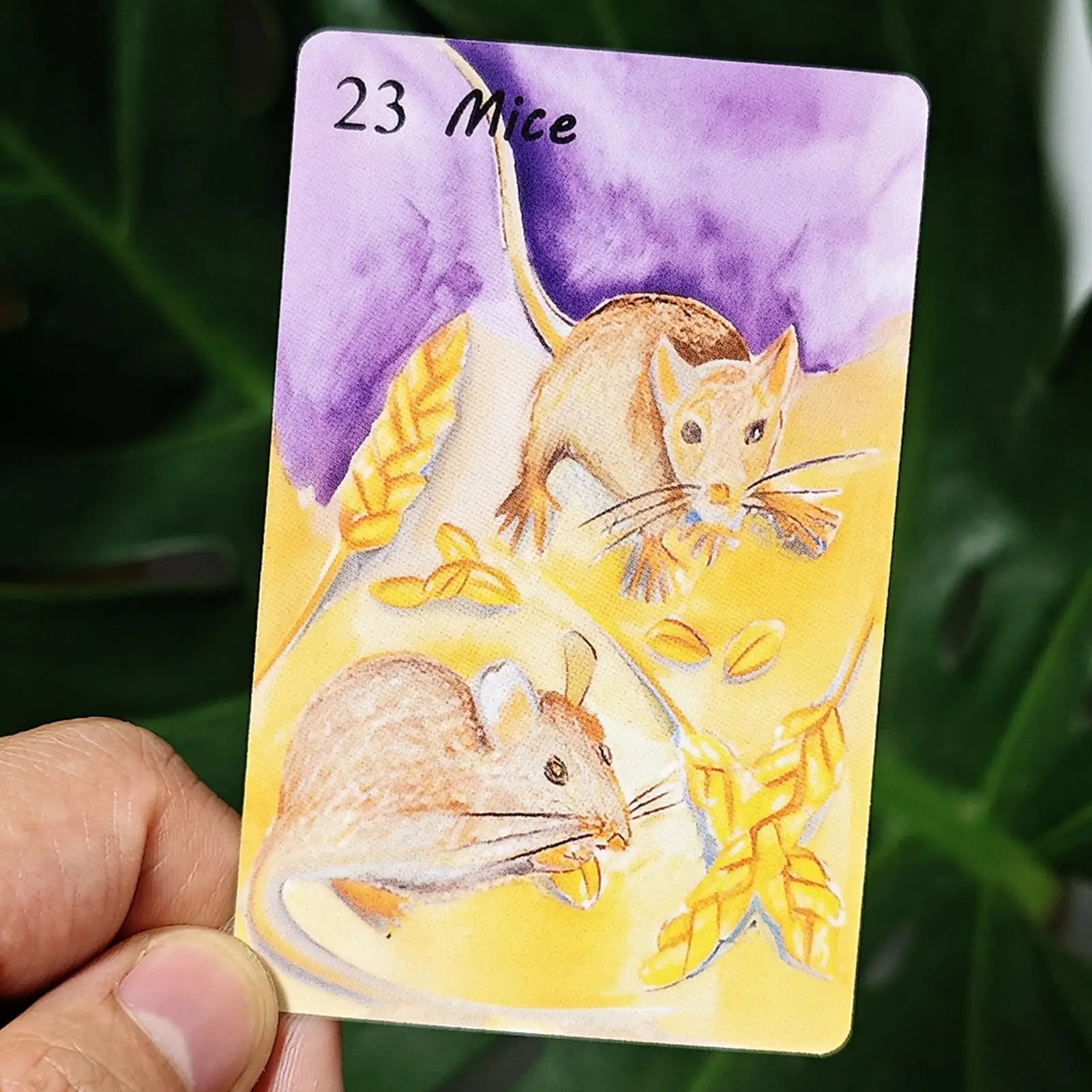 Tarjetas de mesa para principiantes, juego de mesa estilo acuarela, accesorio de papel, juegos de cartas de acuarela para adolescentes, hombres, mujeres, niños, niñas y jóvenes - imagen 4