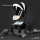 2 in1 black