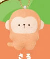 monkey