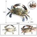 Crab