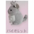 Chinchilla gray