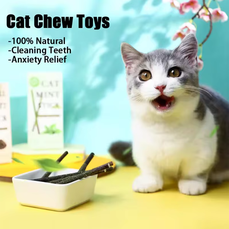 Snack dental de menta para gatos – Juguete masticable relajante