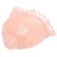 Shrimp pink