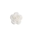 10pcs White