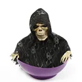 Black veil purple
