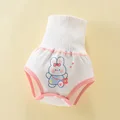 Pink Rabbit