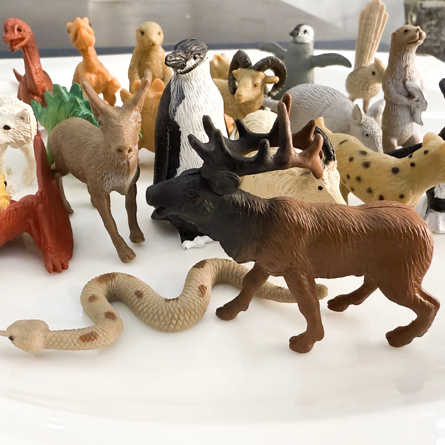 Figuras de estilo mixto al azar, mascota, gato, pingüino, león, tigre, serpiente, zoológico, figuras de acción de Anime, regalo coleccionable, figuras de Navidad - imagen 5