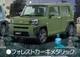 Forest khaki