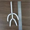 20cm
