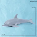 4Dolphin