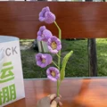 105456-C-orchid