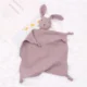 Purple-Rabbit