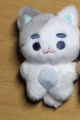 white grey cat