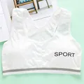 YFP86white