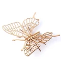 HH030-Butterfly