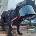 Negro