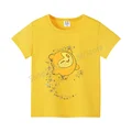 DSN 487 yellow