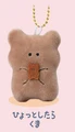 bear hold bear toy