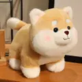 dog only
