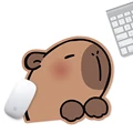 Capybara 04