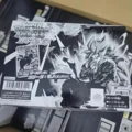 20PCS