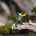 Yellow and Blue