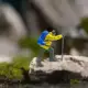 Yellow and Blue
