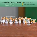 8pcs Cheese Yellow