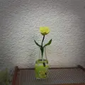 yellow-style 4