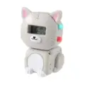 Grey Cat