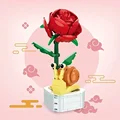 Snail Potted 1