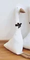 55cm