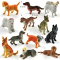 12pcs Dog - b
