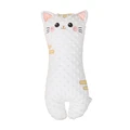 kitten